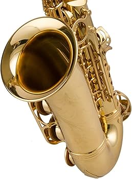 Amazon.co.jp: KLKL サックス 初心者のための電子フラットアルト